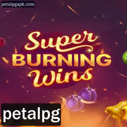 SuperBurningWins: Um Mergulho Profundo no Jogo e Suas Regras